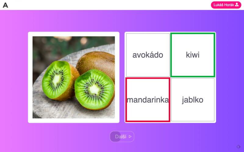 AfaSlovník učí české pacienty po mrtvici znovu mluvit